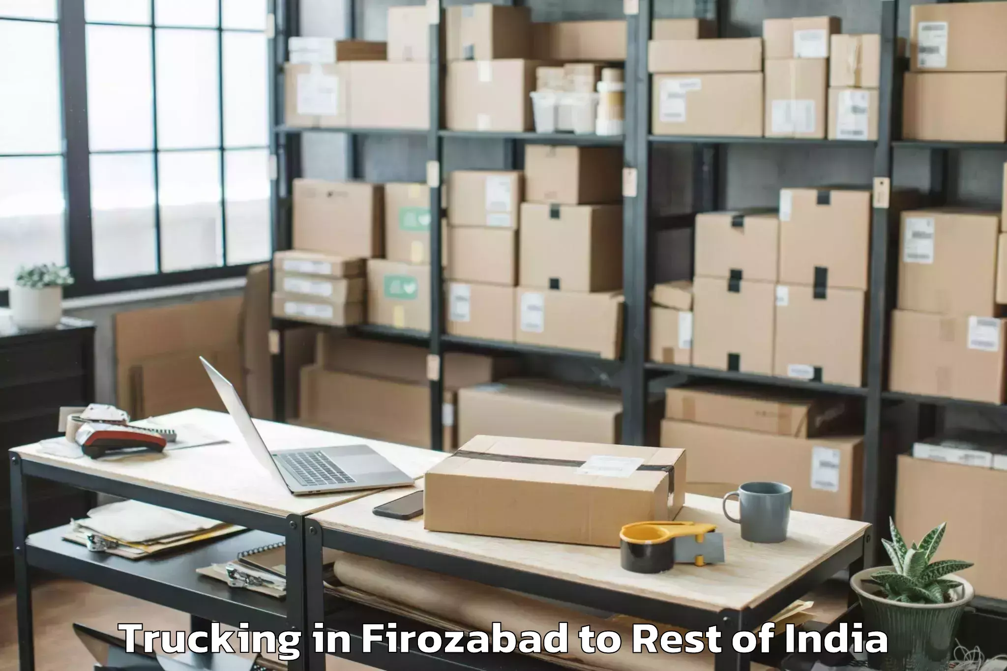 Leading Firozabad to Pattan Trucking Provider